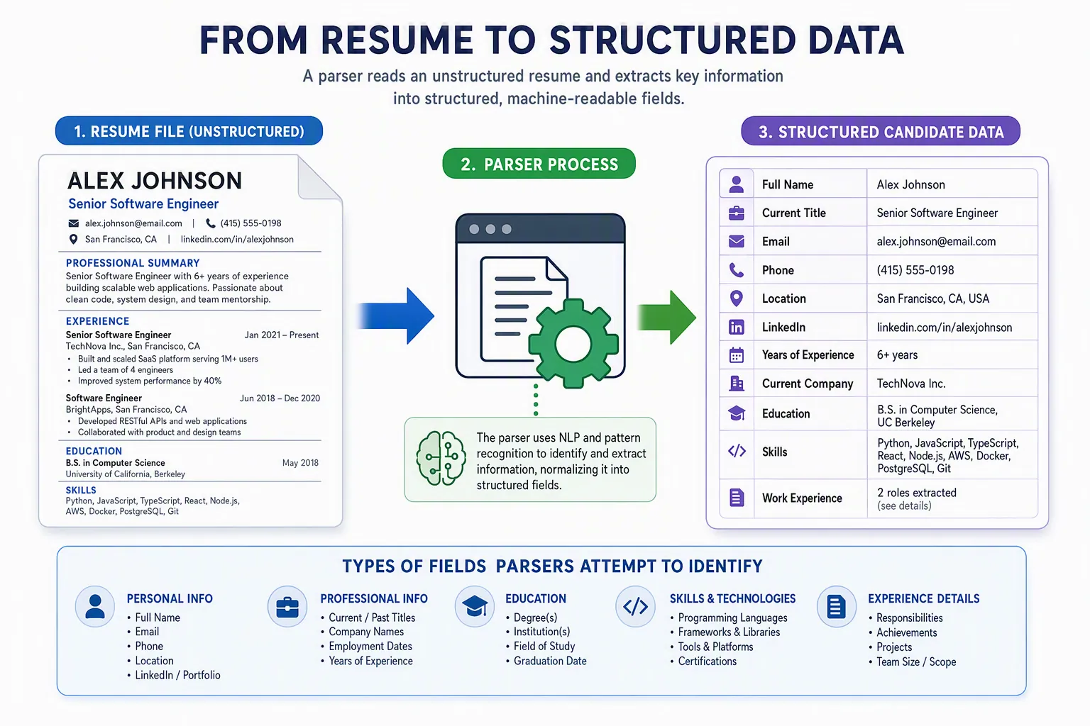 Resume document converted into structured candidate fields for contact information, experience, education, and skills.